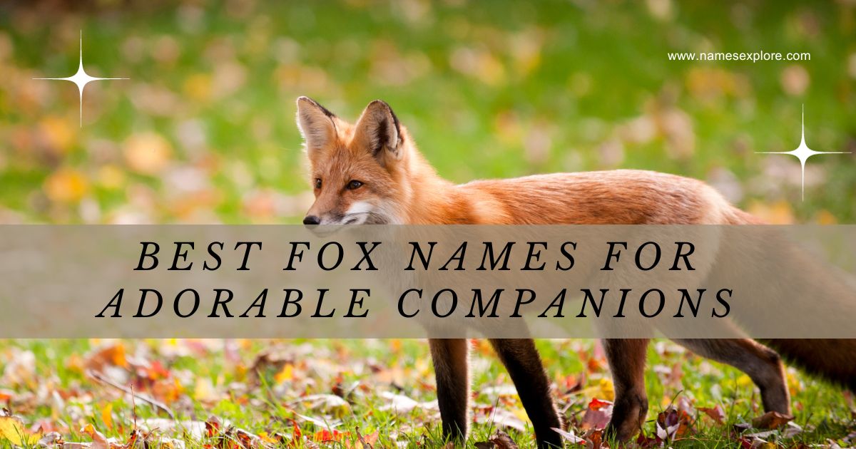 Best Fox Names for Adorable Companions