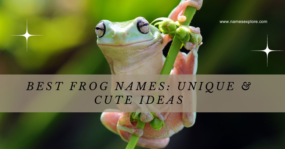 Best Frog Names: Unique & Cute Ideas