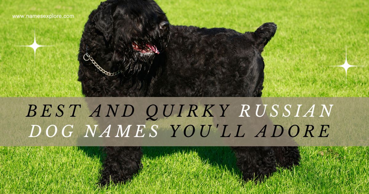 Best and Quirky Russian Dog Names You'll Adore