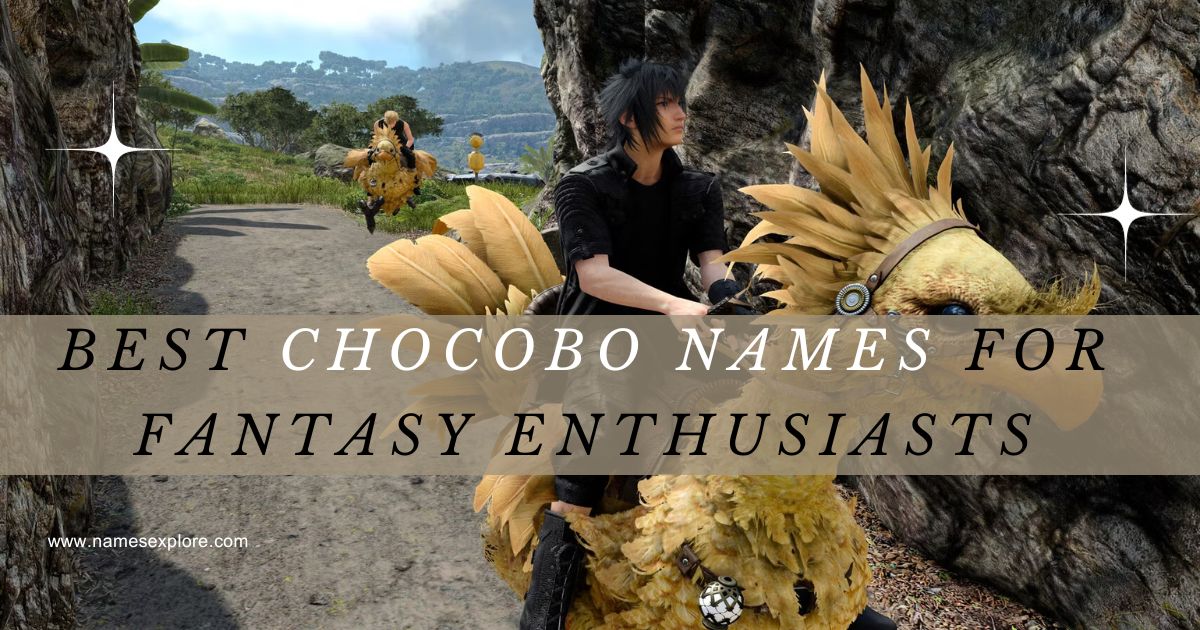 Best Chocobo Names for Fantasy Enthusiasts
