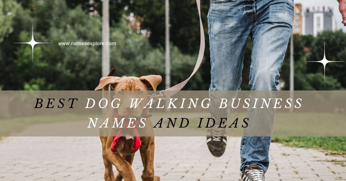 Best Dog Walking Business Names And Ideas