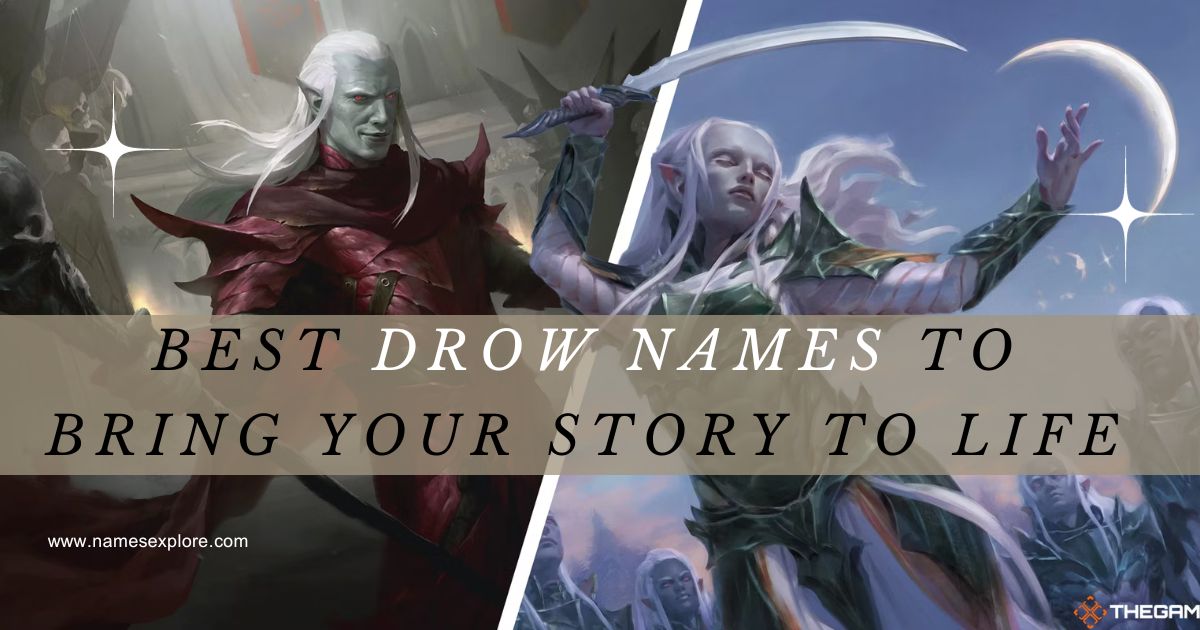 Best Drow Names to Bring Your Story to Life