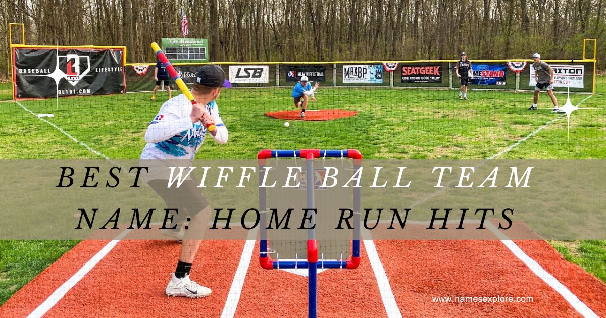 Best Wiffle Ball Team Name: Home Run Hits